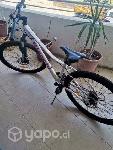 Bicicleta bianchi aro 27