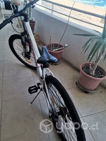 Bicicleta bianchi aro 27 - Imagen 2