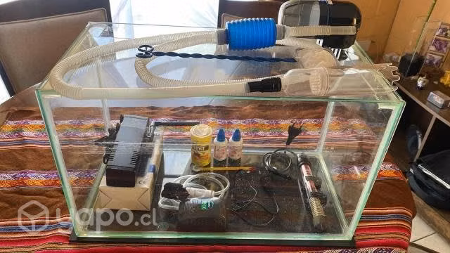 Kit acuario