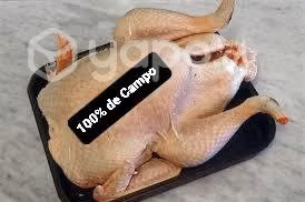 Gallinas de Raza - Imagen 2