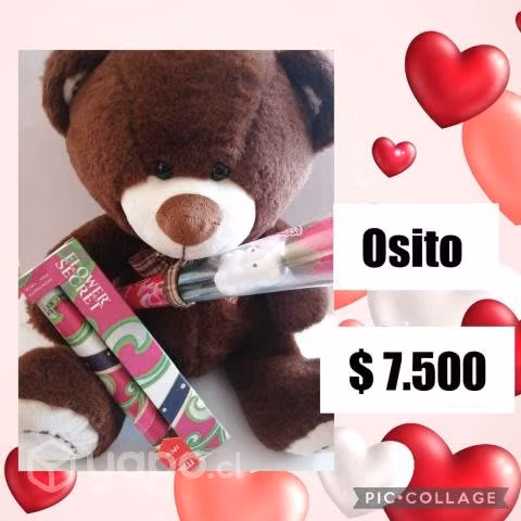 Set Osito