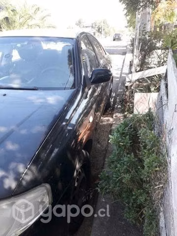 Taxi basico - Imagen 2