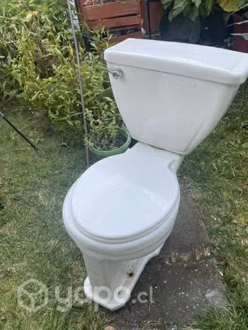 WC - Imagen 3