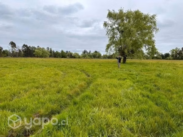 Parcelas con Rol - 5000 m2 - Imagen 2