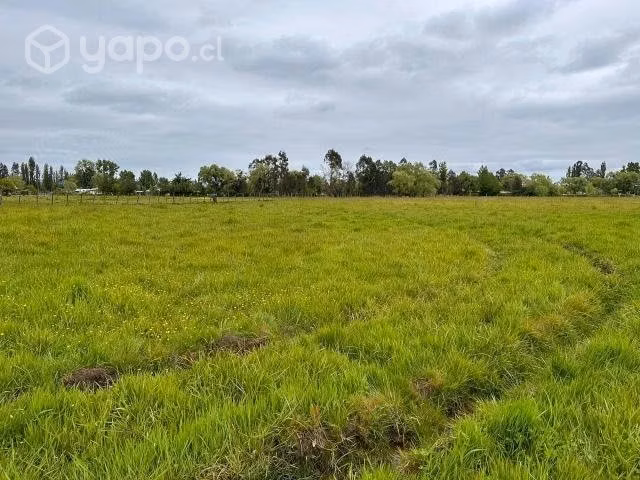 Parcelas con Rol - 5000 m2 - Imagen 3