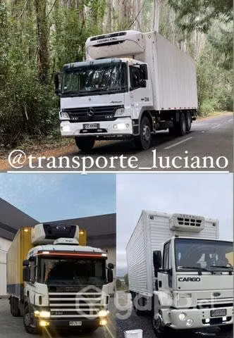 Camiones refrigerados disponible para fletes