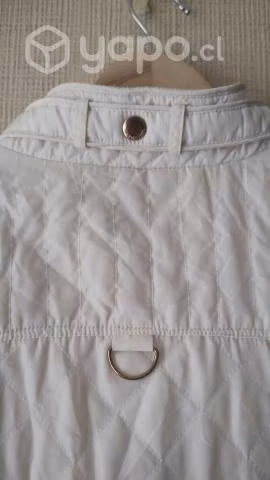 Chaqueta Polo Assn
