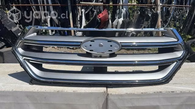 Mascara ford edge (15-17)