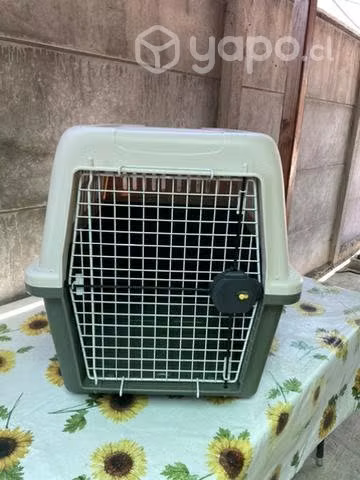 Canil de perro hasta 50 kg, perro mediano.