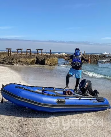 Zodiac + motor