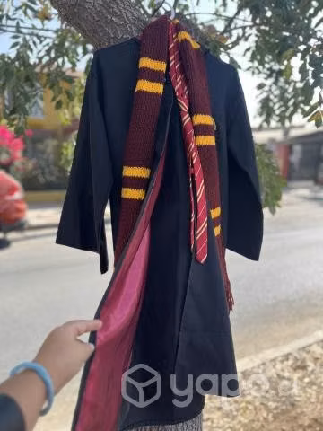 Disfraz Harry Potter casa Griffindor