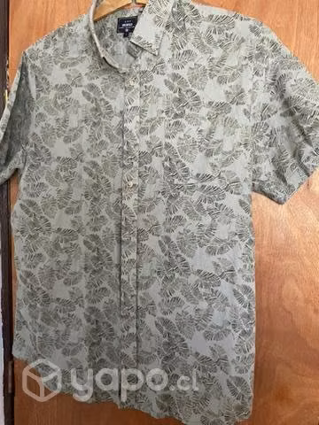 Camisa/ Guayabera Greenfield