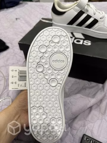 zapatillas