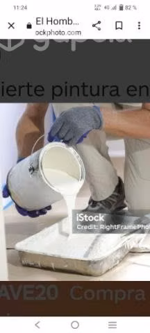 Pintor profesional
