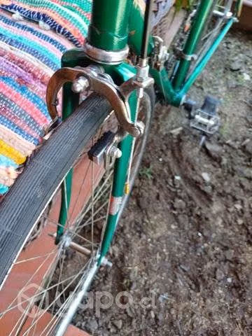 Bicicleta lashen - Imagen 4