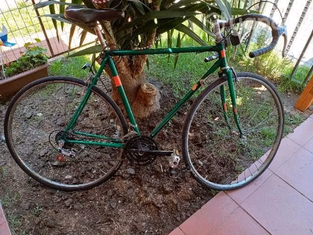 Bicicleta lashen - Imagen 3
