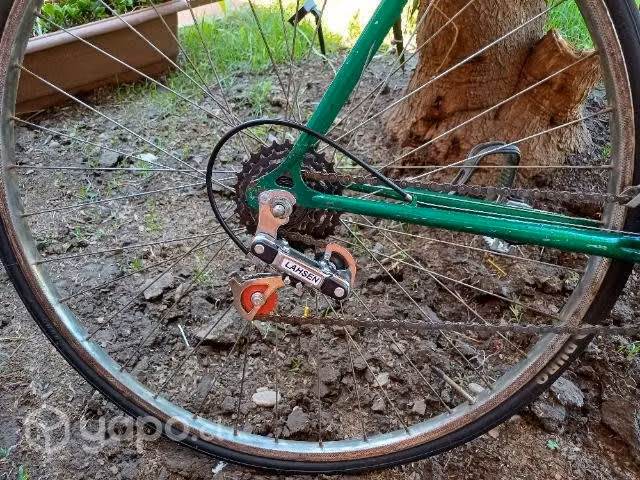 Bicicleta lashen - Imagen 2