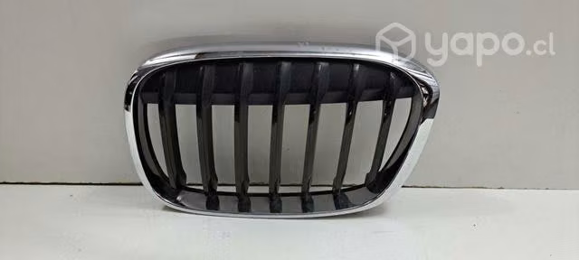 Mascara lh bmw x1