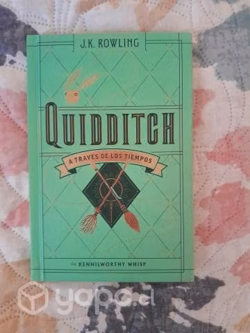 Quidditch a través de los tiempos, Harry Potter