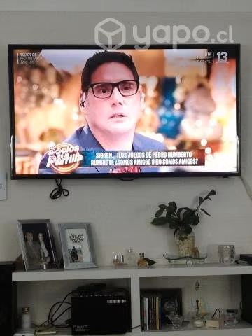 Televisor samsung 42 pulgadas, detalle