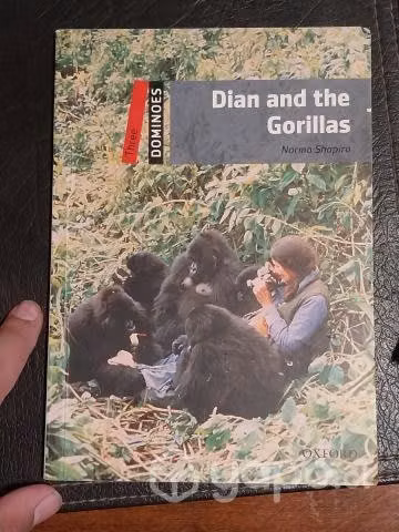 Dilan and the Gorillas