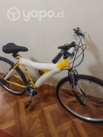 Bicicleta nueva