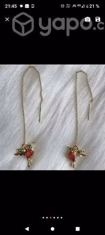 Aritos colibrí