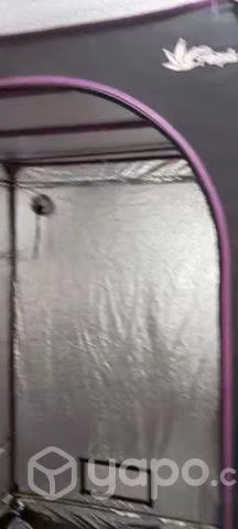 Carpa indoor