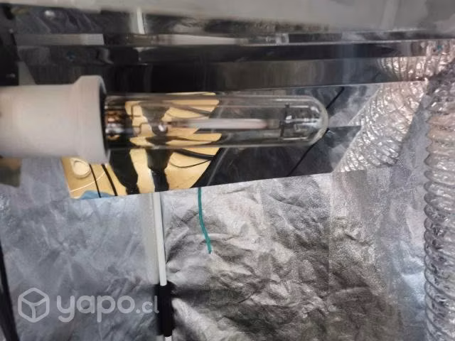 Carpa Indoor kit
