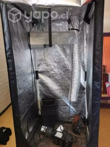 Carpa Indoor kit