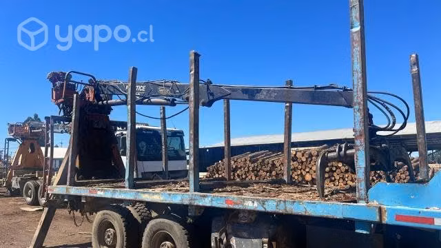 Camion forestal autocargante