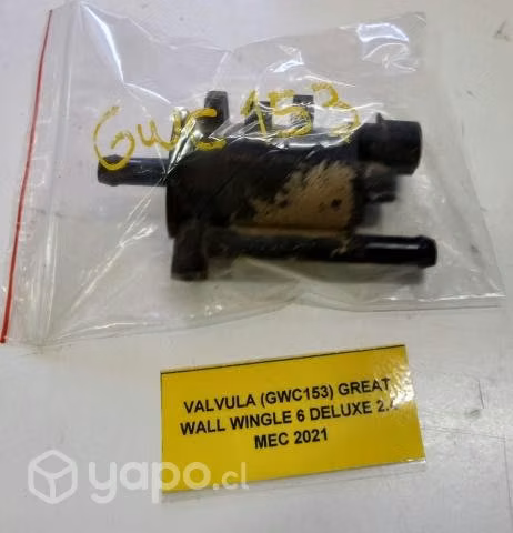 Valvula (GWC153) Great Wall Wingle 6 Deluxe 2.4 ME