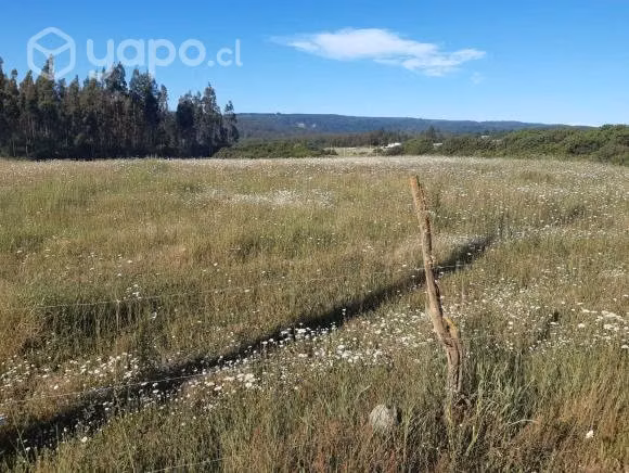 Terreno, de libre uso, a 20 minutos del centro