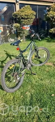 Bicicleta aro 24
