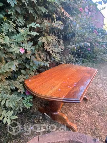 Mesa de Madera Nativa - Imagen 2