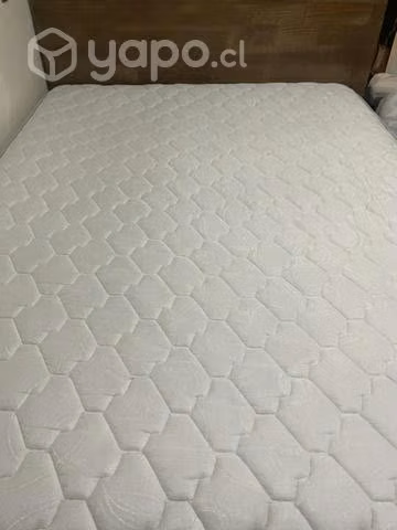 Cama TBox 2 Plazas