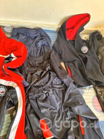 Lote ropa colegio north college