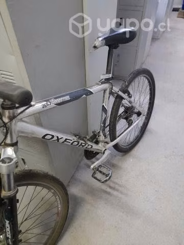 Bicicleta oxford
