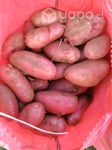 Papas de los muermos
