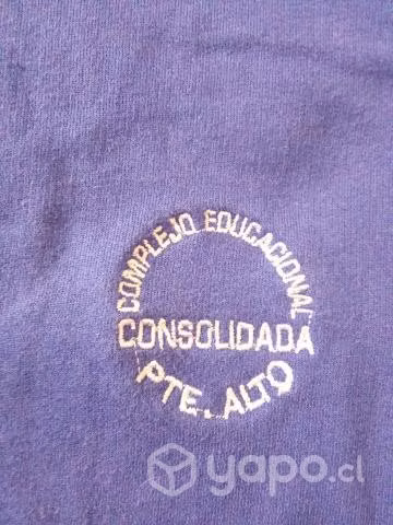 Poleron consolidada
