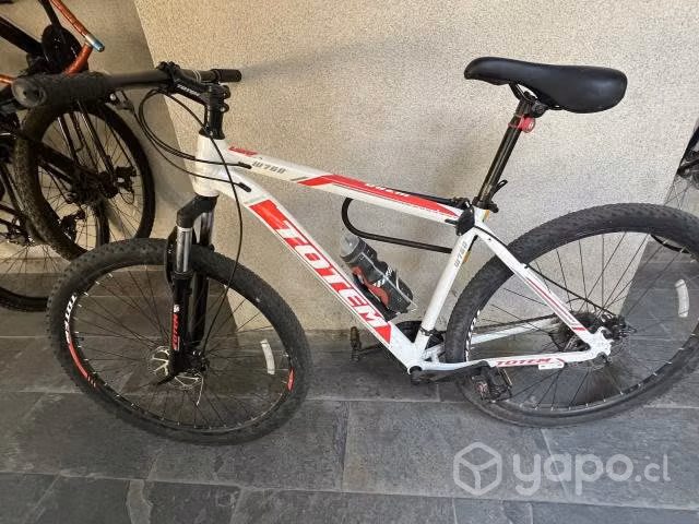 Bicicleta aro 29 marco L