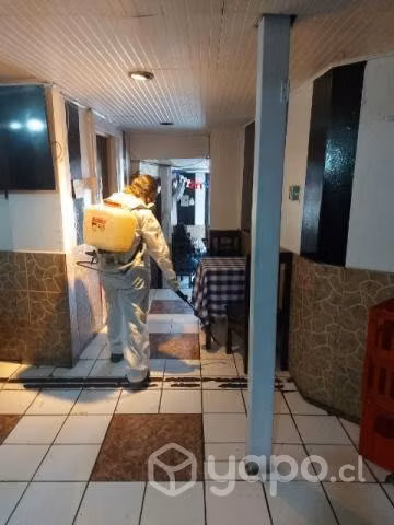Fumigaciones y control de plagas