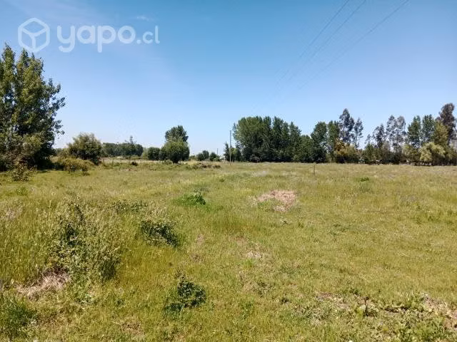 Se venden terrenos de media hectárea cada con rol