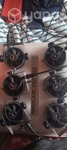 Black cob f600+s320