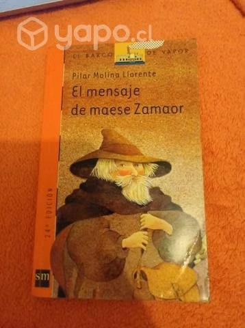 El mensaje de maese Zamaor
