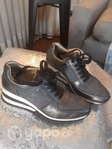 Zapatillas Pollini