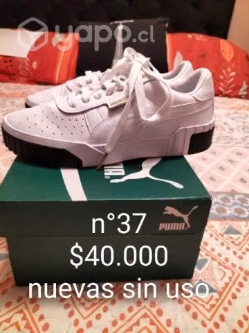 Consulte reales interesados