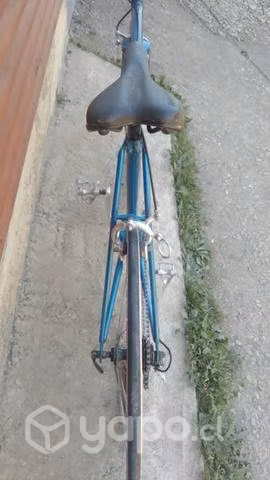 Bicicleta Fixie Shimano Aro 700x28