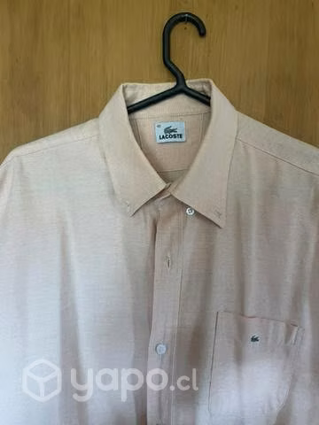 Camisa Lacoste - Imagen 2