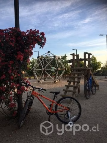 Bicicleta TREx aro 24